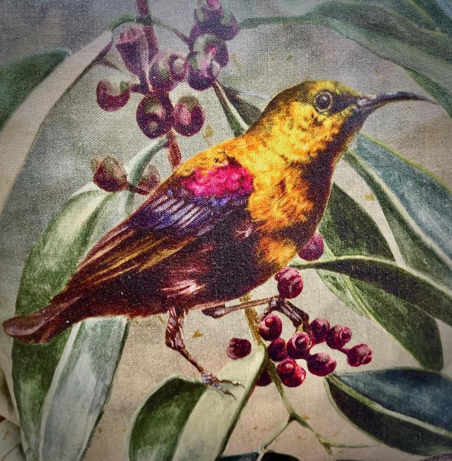 The Sunbird Διαμέρισμα Plettenberg Bay Εξωτερικό φωτογραφία